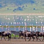 Arusha: 3-Day Safari to Arusha National Park and Ngorongoro - Exploring the Itinerary: What You’ll Actually Do
