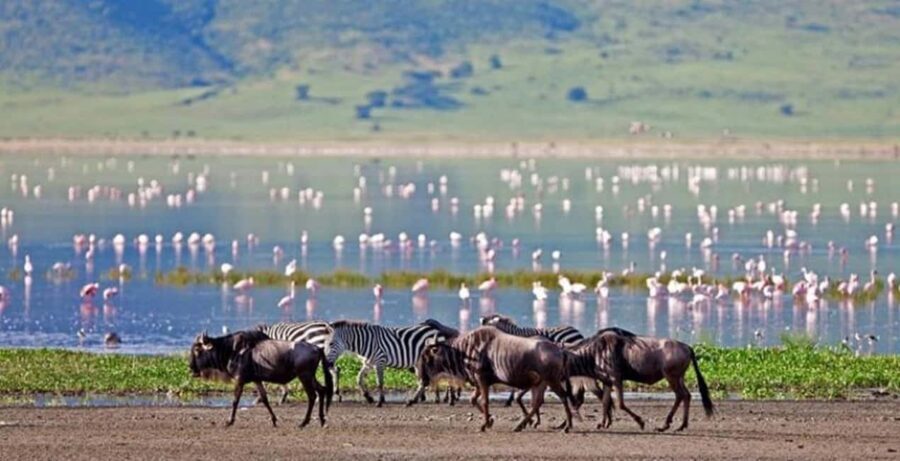 Arusha: 3-Day Safari to Arusha National Park and Ngorongoro - Exploring the Itinerary: What You’ll Actually Do