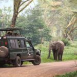 Arusha: 3-Day Safari to Tarangire, Ngorongoro & Lake Manyara - What’s Included and What’s Not