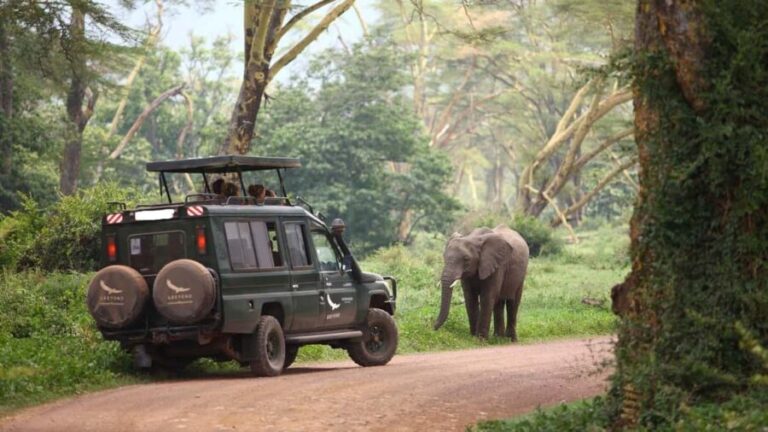 Arusha: 3-Day Safari to Tarangire, Ngorongoro & Lake Manyara - What’s Included and What’s Not