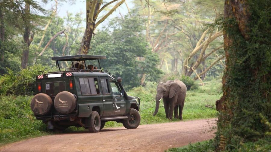 Arusha: 3-Day Safari to Tarangire, Ngorongoro & Lake Manyara - What’s Included and What’s Not
