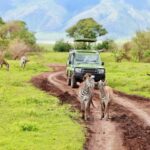 Arusha: 3-Day Serengeti and Ngorongoro Crater Safari - The Sum Up