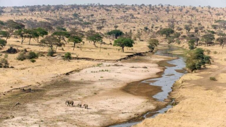 Arusha: 3-Day Tarangire National Park & Lake Natron Tour - Exploring Tarangire National Park: Nature’s Marvels