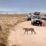 Arusha: 4-Day Big five Safari & Amazing Balloon experience - The Experience of Staying in Tents