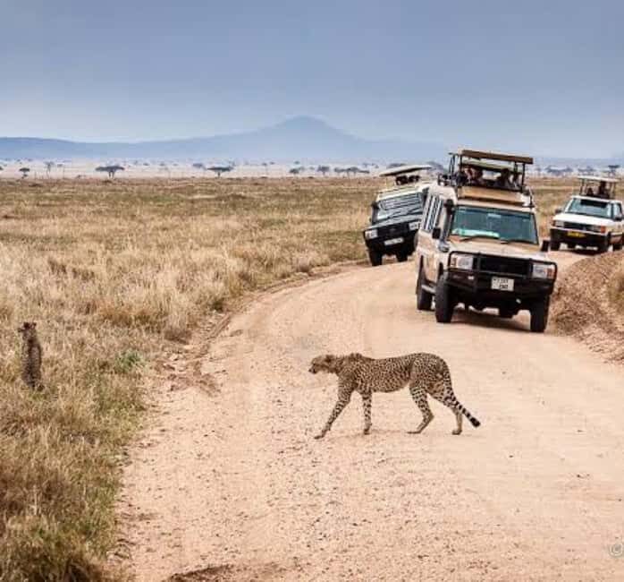 Arusha: 4-Day Big five Safari & Amazing Balloon experience - The Experience of Staying in Tents