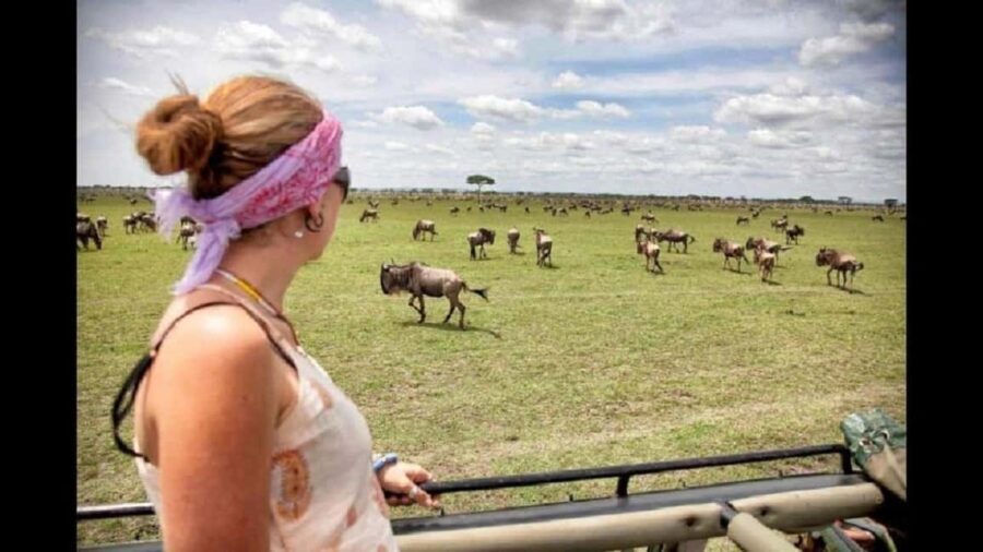 Arusha: 4-Day Ndutu Migration Safari and Ngorongoro Crater - What’s Included and Why It Matters