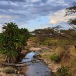 Arusha: 4-Day Safari northern parks - Key Points