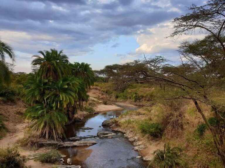 Arusha: 4-Day Safari northern parks - Key Points