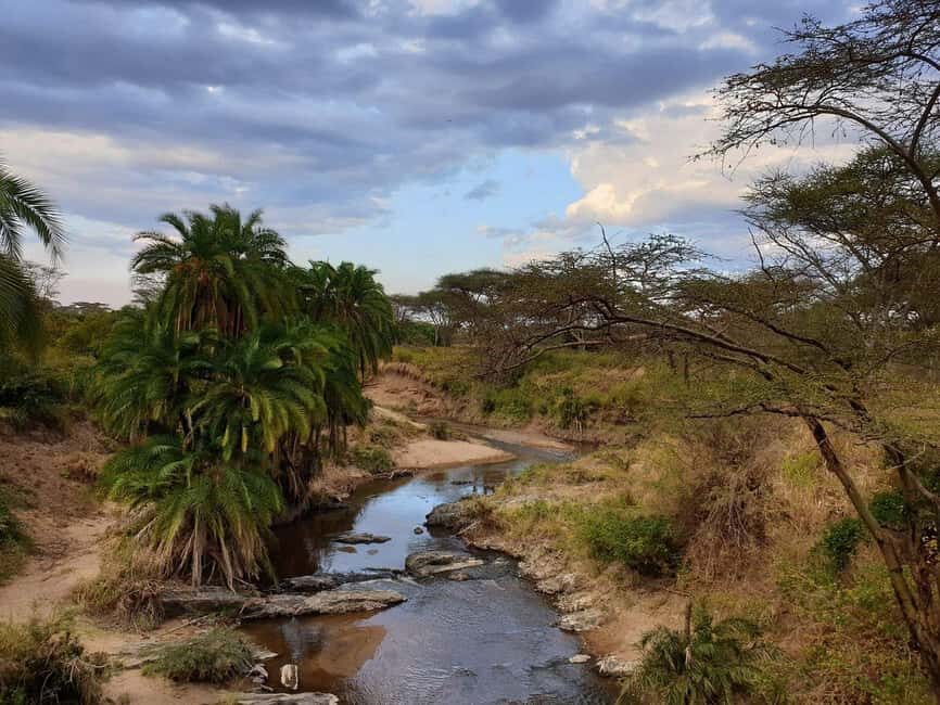 Arusha: 4-Day Safari northern parks - Key Points