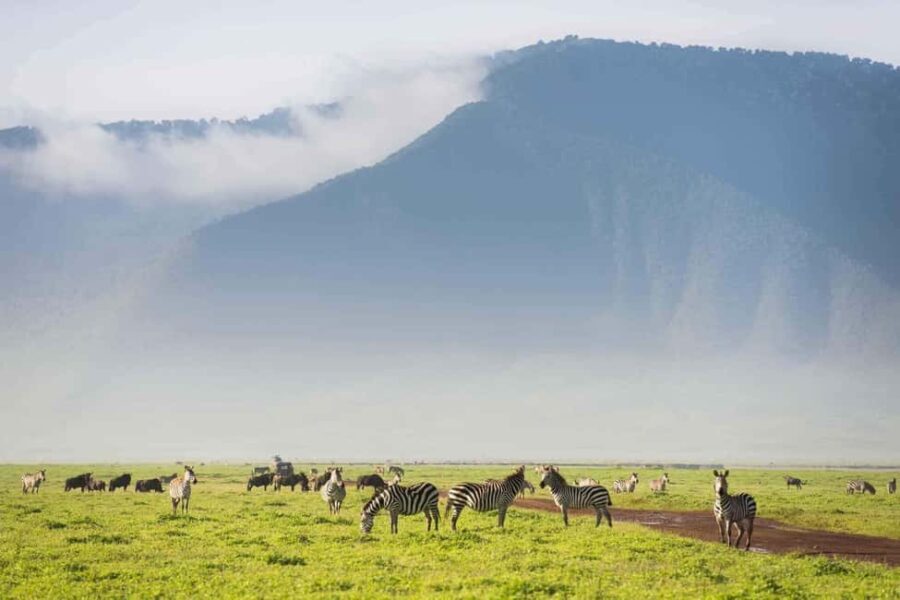 Arusha: 4-Day Safari to Serengeti and Ngorongoro Crater - Unpacking the Experience: A Detailed Look at the 4-Day Tanzania Safari