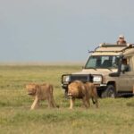 Arusha: 4-Day Safari to Tarangire, Ngorongoro & Lake Manyara - What’s Included & What to Consider