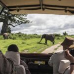 Arusha: 4-Day Safari to Tarangire, Serengeti and Ngorongoro - Exploring the Itinerary in Detail