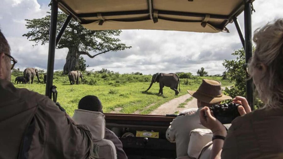 Arusha: 4-Day Safari to Tarangire, Serengeti and Ngorongoro - Exploring the Itinerary in Detail