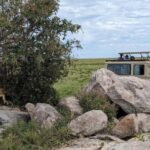 Arusha: 4-Day Tarangire, Serengeti, and Ngorongoro Safari - Transportation & Group Size