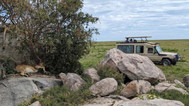 Arusha: 4-Day Tarangire, Serengeti, and Ngorongoro Safari - Transportation & Group Size