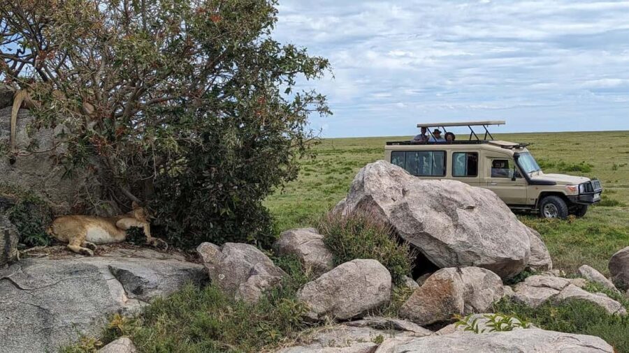 Arusha: 4-Day Tarangire, Serengeti, and Ngorongoro Safari - Transportation & Group Size