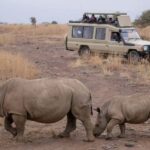 Arusha: 5-Day Big Five Tanzania Safari Adventure - The Itinerary Breakdown