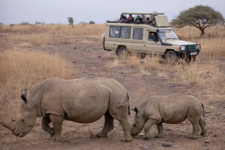 Arusha: 5-Day Big Five Tanzania Safari Adventure - The Itinerary Breakdown