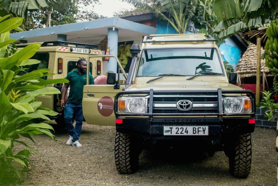 Arusha: 5-Day Ndutu Calving Season Serengeti Safari - Detailed Breakdown of the Itinerary