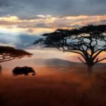 Arusha: 5-Day Serengeti National Park Tent Safari - What’s Included and What to Budget For