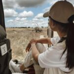 Arusha: 6-Day Safari to Tarangire, Serengeti, & Ngorongoro - Who Will Love This Safari?