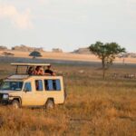 Arusha: 6 Days Highlights of Tanzania Wildlife Safari - What Makes This Tour Stand Out