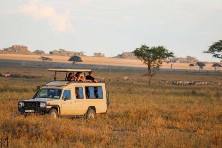 Arusha: 6 Days Highlights of Tanzania Wildlife Safari - What Makes This Tour Stand Out