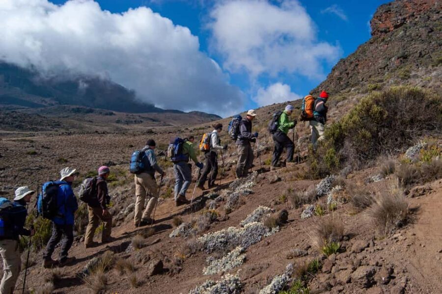 Arusha: 7-Day Machame Route Trip to Mount Kilimanjaro Peak - Practicalities and Considerations
