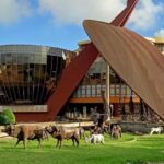 Arusha: City Tour with Canoeing on Lake Duluti - The Itinerary Breakdown