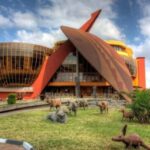 Arusha: City Walking Tour Historic and Modern Highlights - Practical Details That Matter