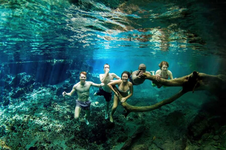 Arusha: Day Trip to Kikuletwa Hot Springs Swimming - The Experience: What You Can Expect