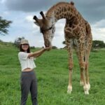 Arusha: Day Trip to Serval Wildlife - Feed Giraffes & Lions - How the Day Unfolds