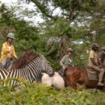 Arusha: Horseback riding and a sundowner - The Experience: What You Can Expect