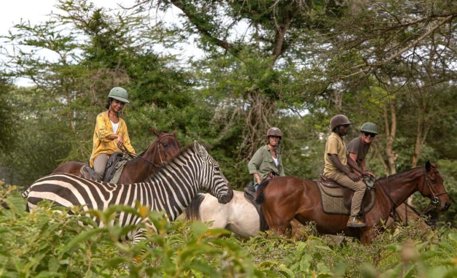 Arusha: Horseback riding and a sundowner - The Experience: What You Can Expect