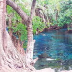 Arusha: Kikuletwa Hot Springs Day Trip with Lunch - Practical Details and Tips