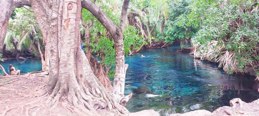Arusha: Kikuletwa Hot Springs Day Trip with Lunch - Practical Details and Tips