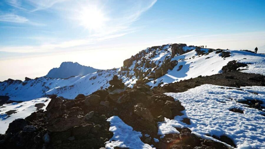 Arusha: Kilimanjaro Day Hike to Mandara Hut - The Highlights and What Makes This Tour Special