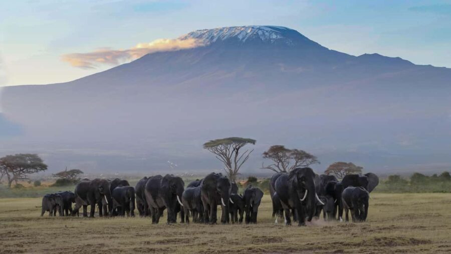 Arusha: Kilimanjaro Hike, Tarangire & Ngorongoro 3-Day Tour - Who Should Consider This Tour?