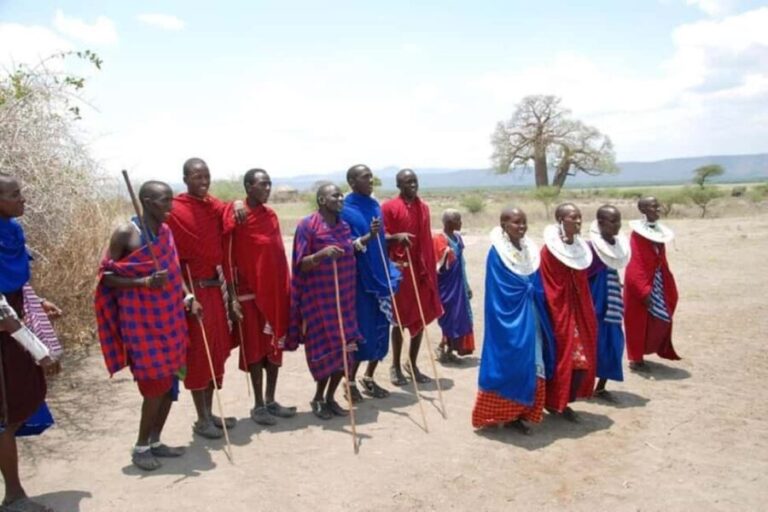 Arusha: Maasai Boma Cultural Day Trip - Practical Details and What to Expect