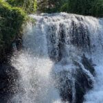Arusha: Materuni Coffee Tour with Hot Springs and Lunch - The Mixed Bag of Reviews and Experience