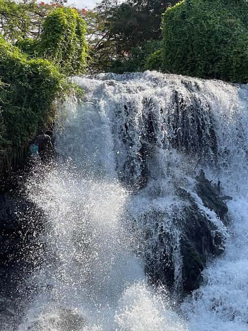 Arusha: Materuni Coffee Tour with Hot Springs and Lunch - The Mixed Bag of Reviews and Experience
