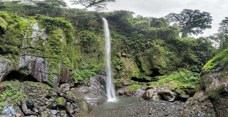 Arusha: Materuni Waterfall, Coffee Plantation, and Hot - Discovering the Natural Beauty of Materuni Waterfall