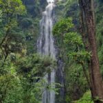 Arusha: Materuni Waterfalls, Hot Springs and/or Coffee Tour - What Travelers Are Saying: Authentic Insights from Reviews