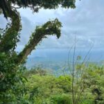Arusha: Mount Meru Day Hike with Lunch and Transfers - What’s Included and What to Bring