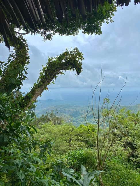 Arusha: Mount Meru Day Hike with Lunch and Transfers - What’s Included and What to Bring