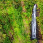 Arusha: Mount Meru Waterfall Day Trip with Lunch - Is This Tour Worth the Price?