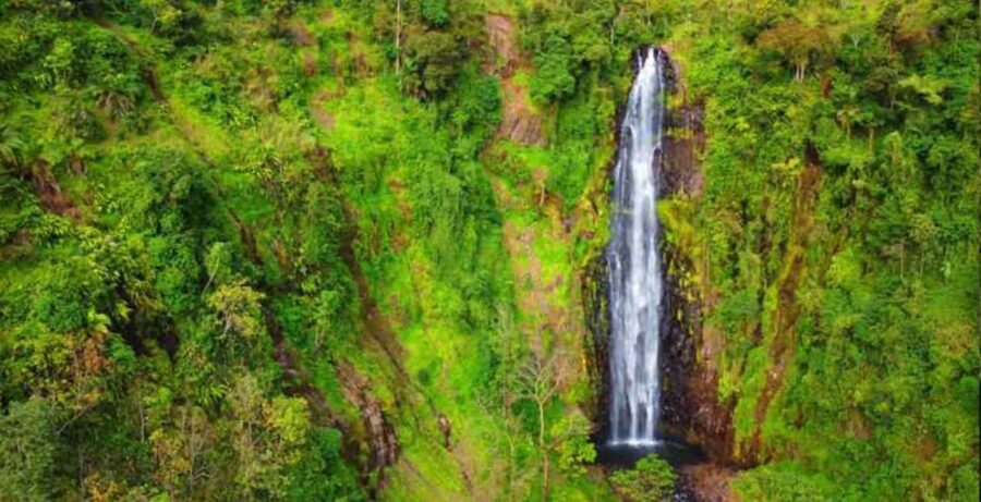 Arusha: Mount Meru Waterfall Day Trip with Lunch - Is This Tour Worth the Price?