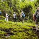 Arusha: National Park Day Trip with Walking Tour - Practical Details & Tips