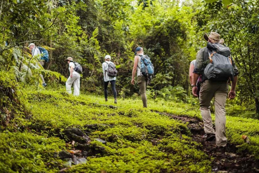 Arusha: National Park Day Trip with Walking Tour - Practical Details & Tips