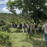 Arusha: National Park Guided Tour with Game Drive & Lunch - What We Love About This Tour